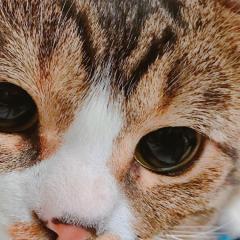 池田 友輝のトーク