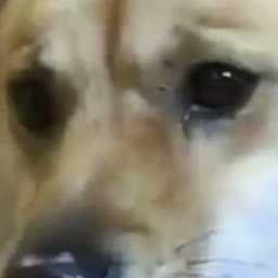 すぎやんのトーク