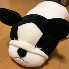 パープルヘイズ