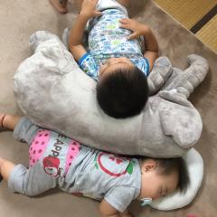 らんちゃんの独り言