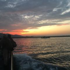 たて@音々推しのトーク