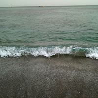 陳喬蓉のトーク