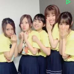 ANIMALたこ焼き