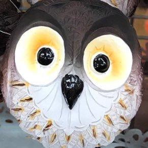 フクロウ⊿