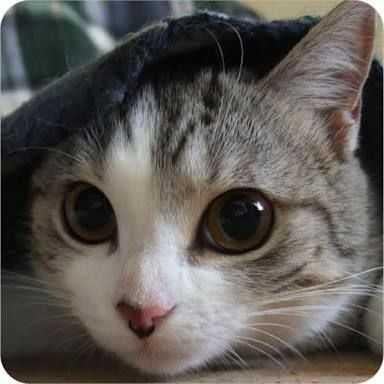 リトーク用のトーク