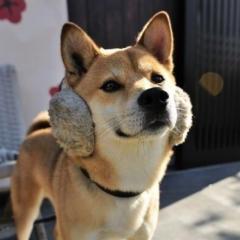 まぼろし