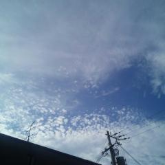 ちくわドーナツ（ムサちゃん）