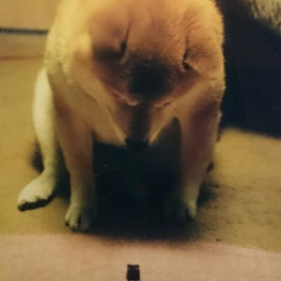 みんなの白米。
