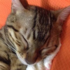 海斗⊿のトーク