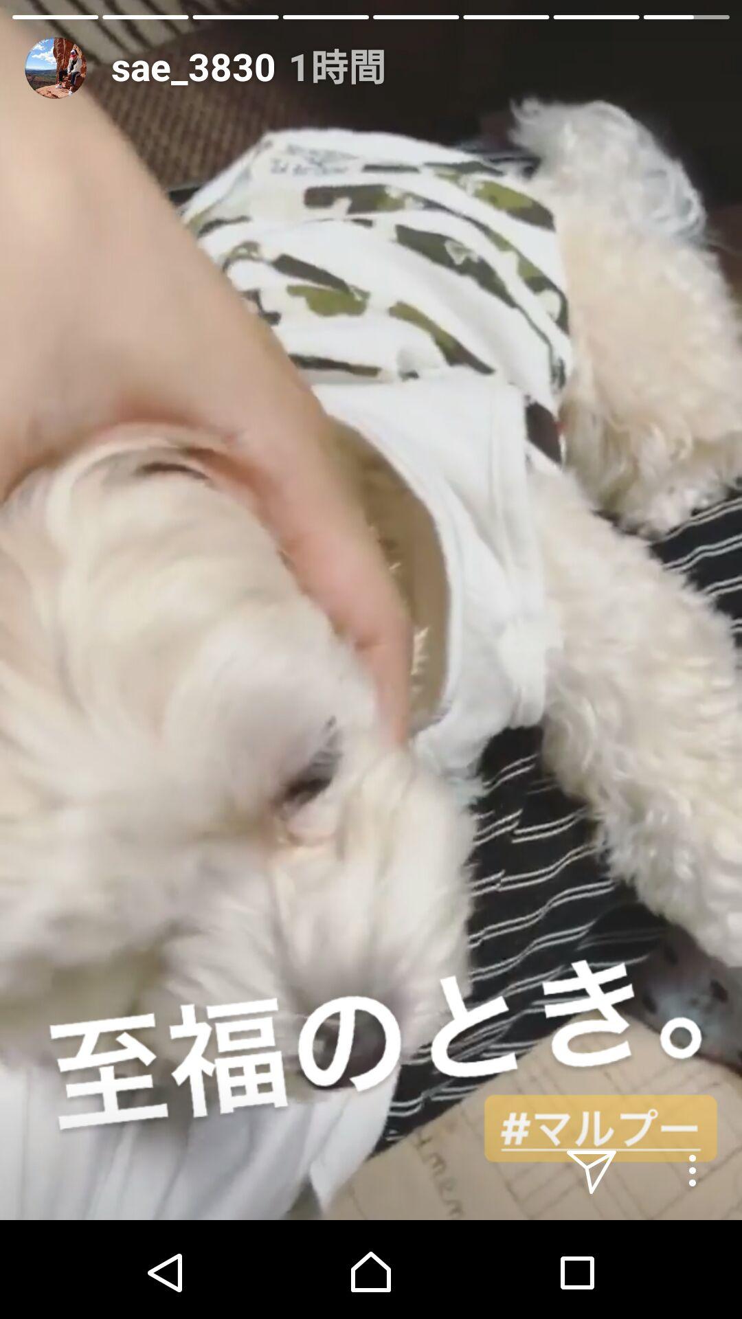 投稿画像
