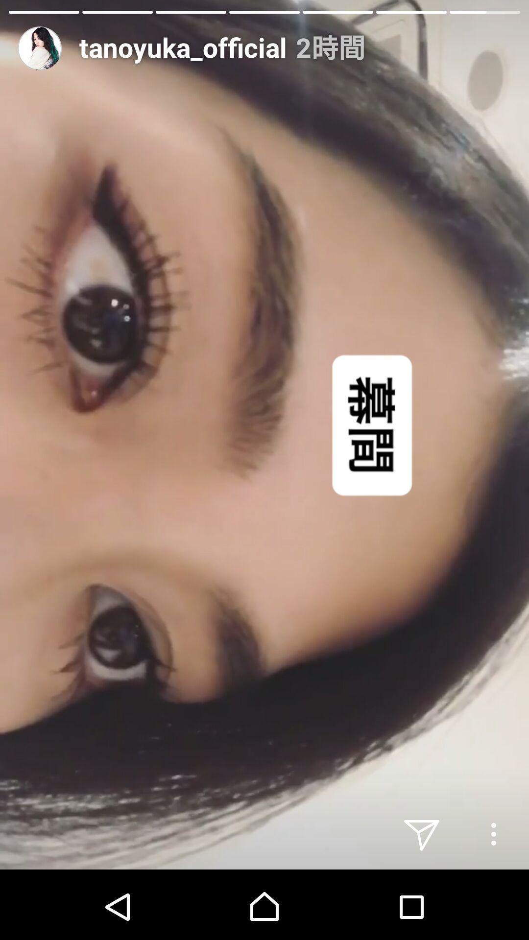 投稿画像