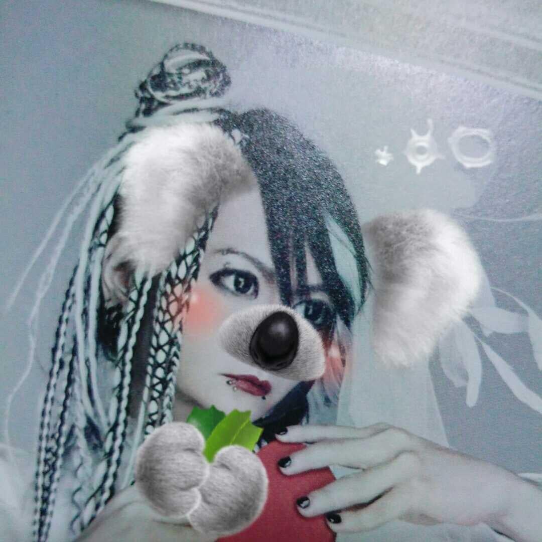 ののちゃん(👑)