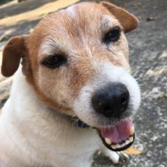 tomomoiiiのトーク