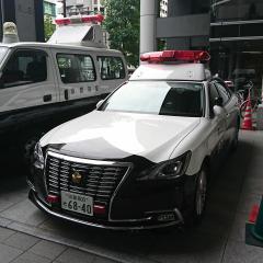 純玖