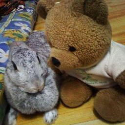 ホエjyのトーク