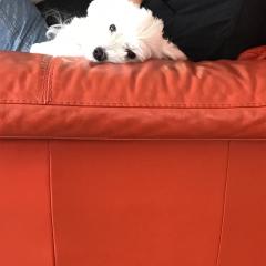 n.kouki17のトーク