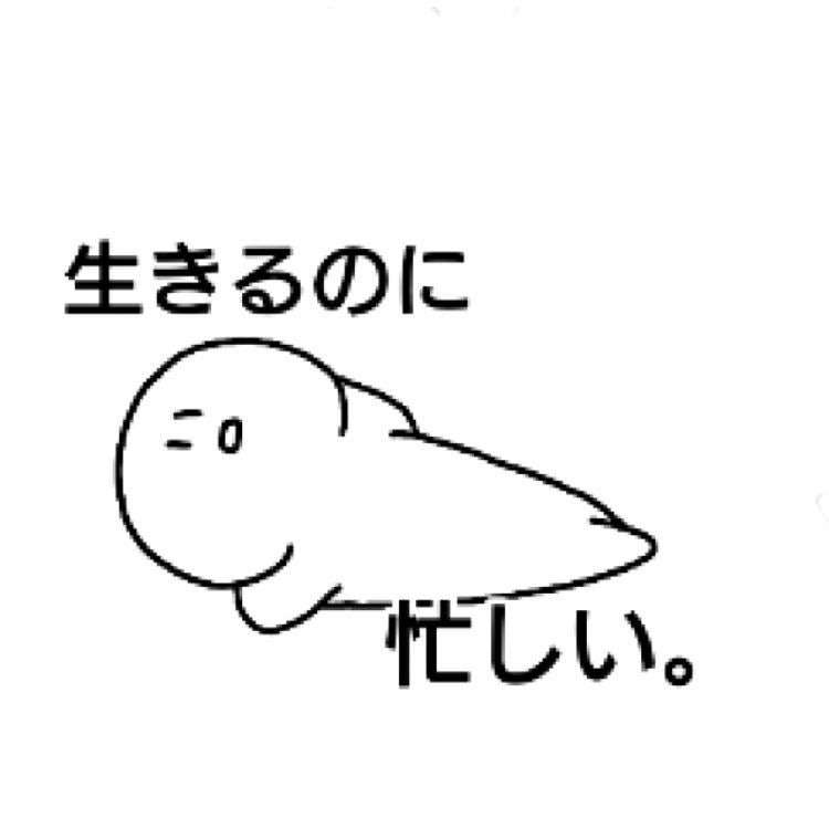 ゆうかのトーク