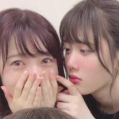 ごったん