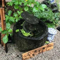 ひろたんたん