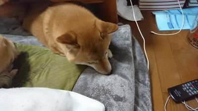 よう