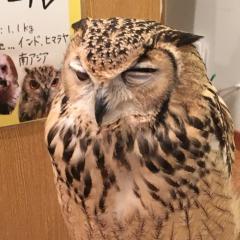 シド