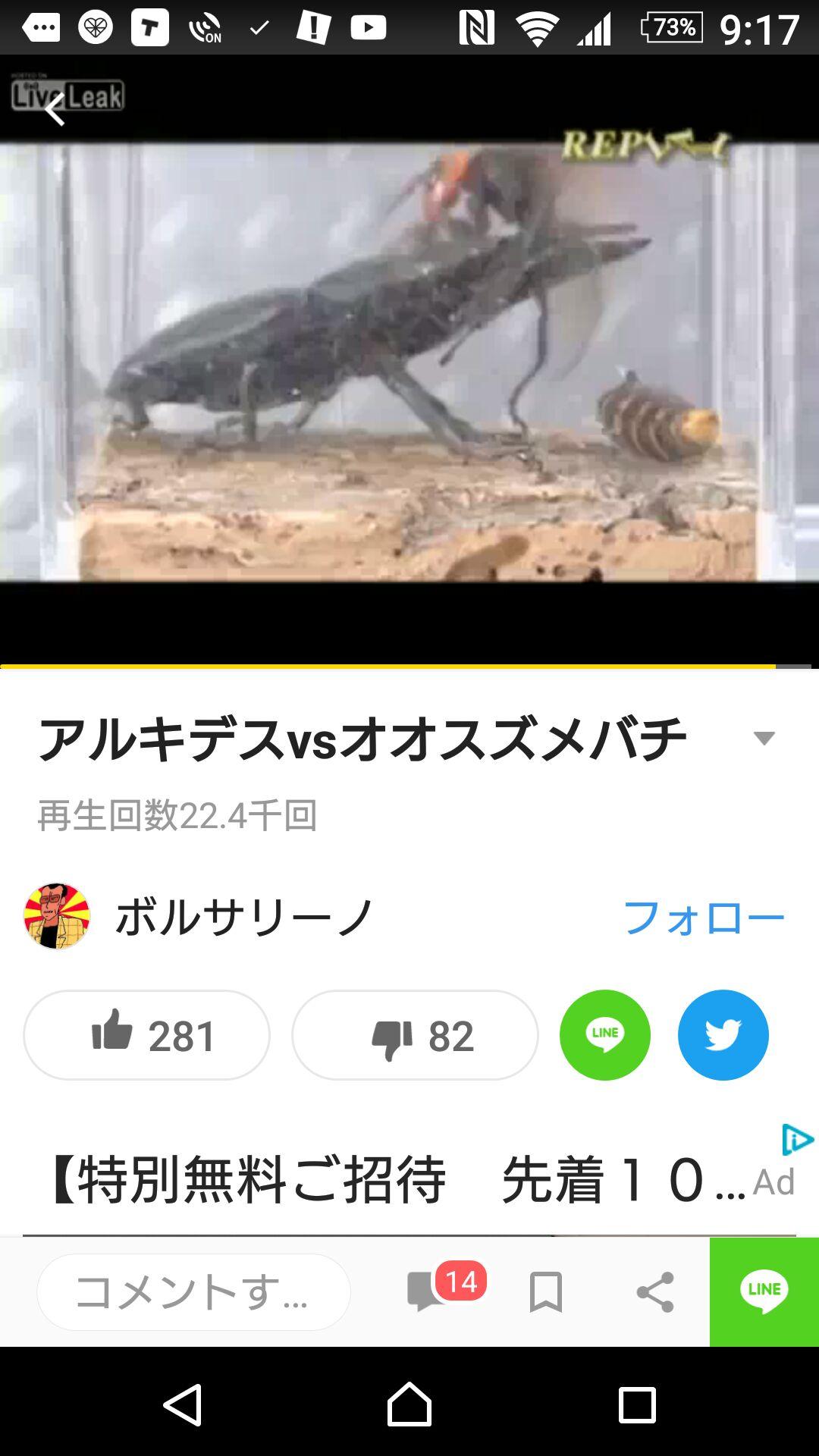 投稿画像