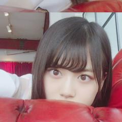 たーこ