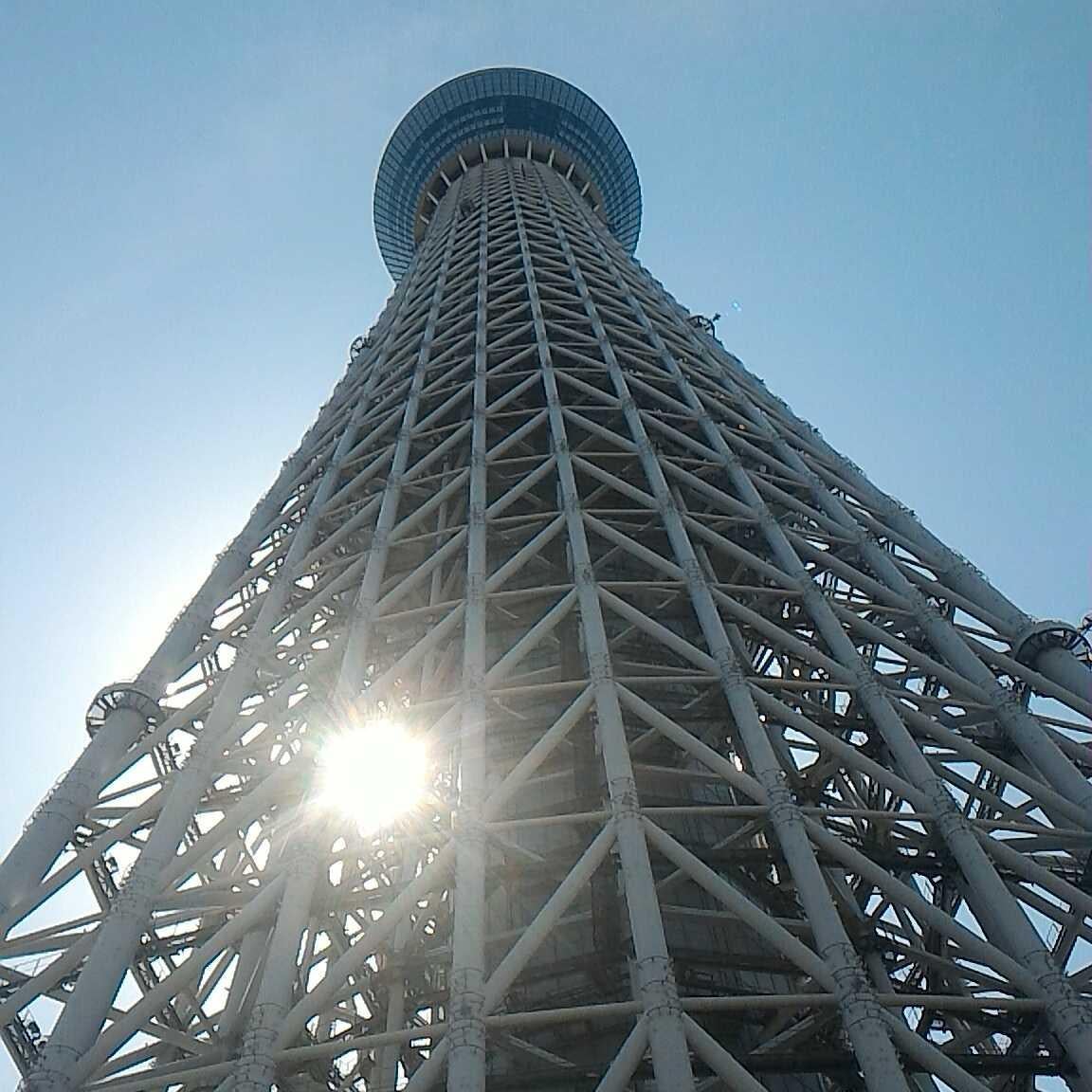 こじはる