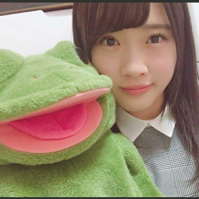 ずんメール返信用