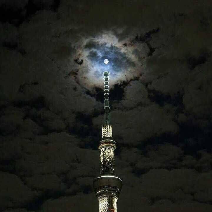 生下来就是个笨蛋真是对不起のトーク