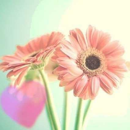 kazumi☆。.:＊・゜