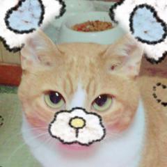 宮下明美