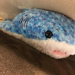 たくやのトーク