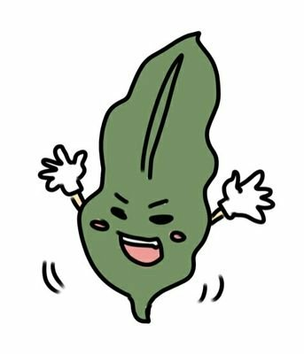 みーちゃん
