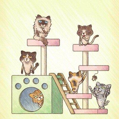 まつもと ゆうたろう