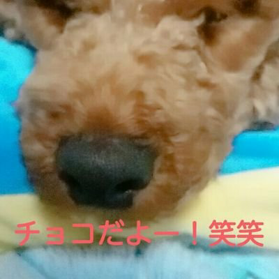 あやか