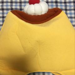 はると