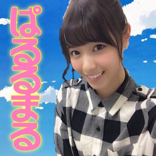 ぱるるまる ◢͟│⁴⁶