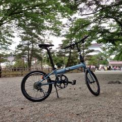Koyasa1