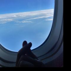 【メイン】ぷらいべーと