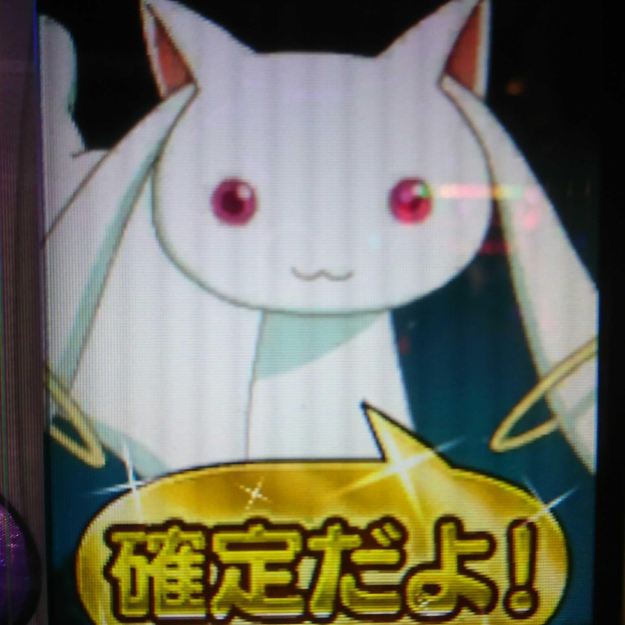 ネコ軍曹
