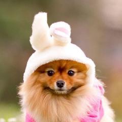 下里昌治のトーク