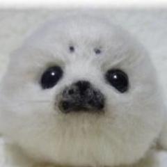 まこにぃ。🐰