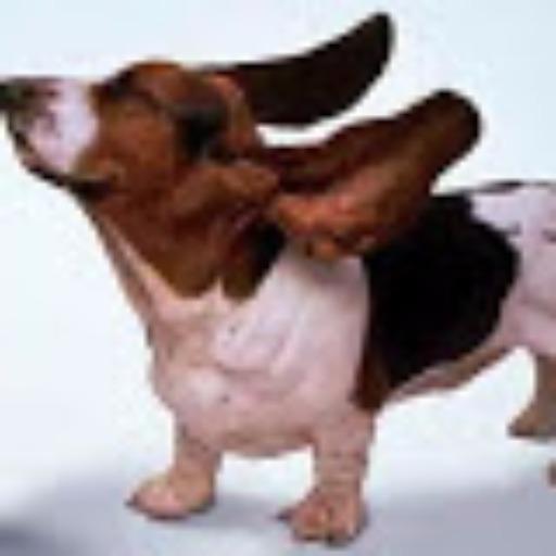 ラプラプお父さん