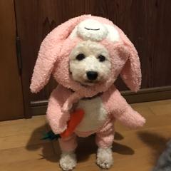 ｡°✩みうママ✩°｡