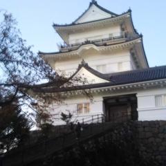 石井義昭