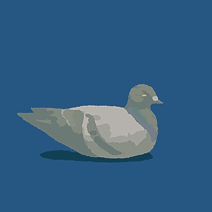 蝉