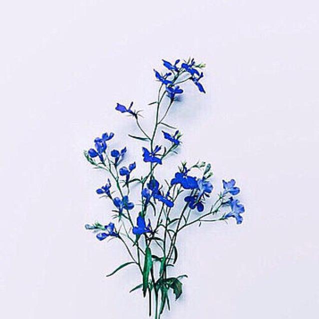 ひなどりのトーク