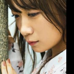 ネコまっしぐら