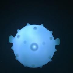 ぐっちーさんの日記的なのと#NagyuLetterの返信部屋